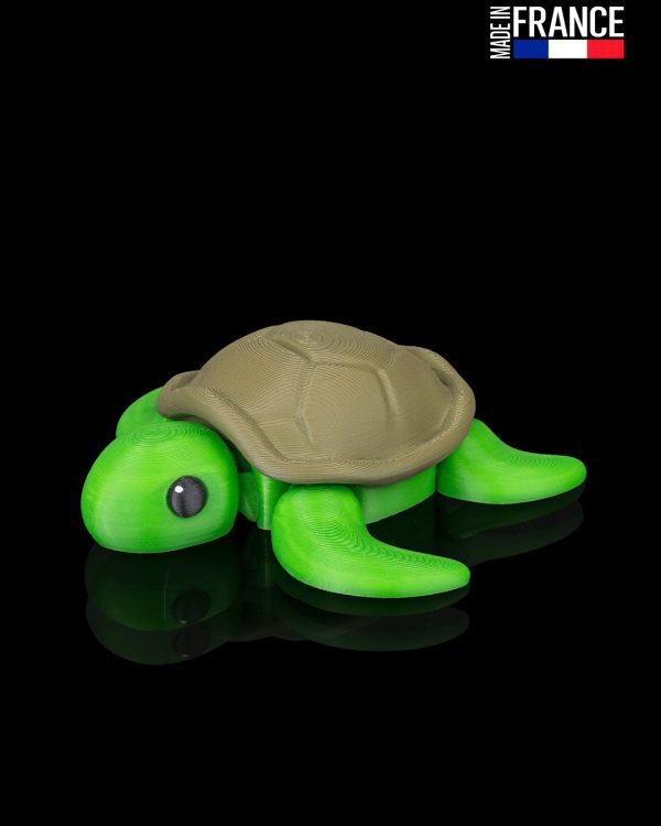 Slow Turtle