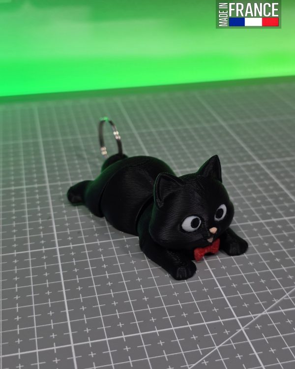 Pichu, The Black Cat