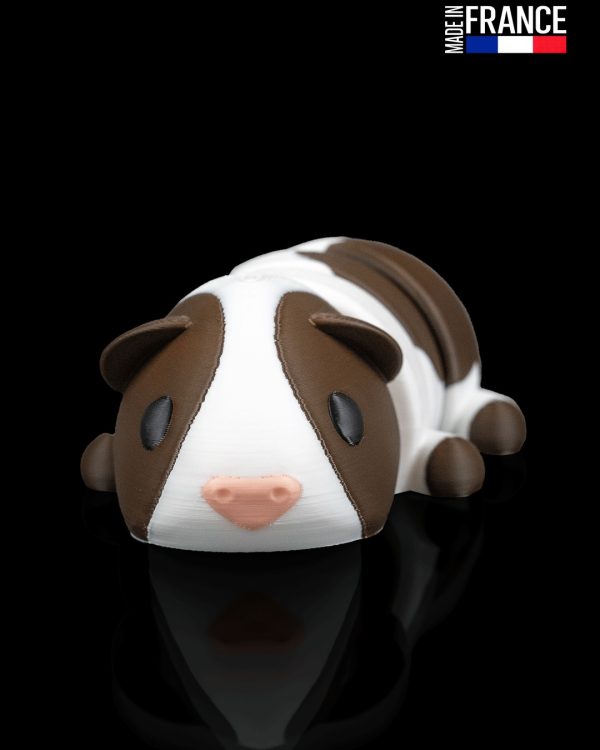 Guinea Pig in Field Nest