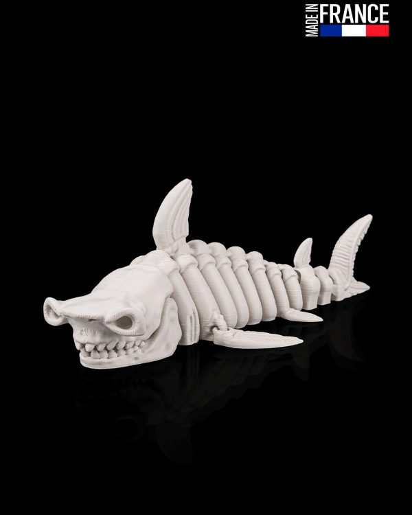 Skeleton Shark