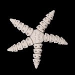 Image du produit précédent