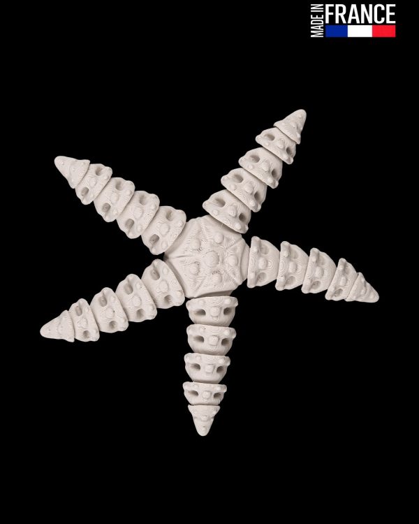 Skeleton Starfish