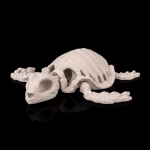 Image du produit précédent