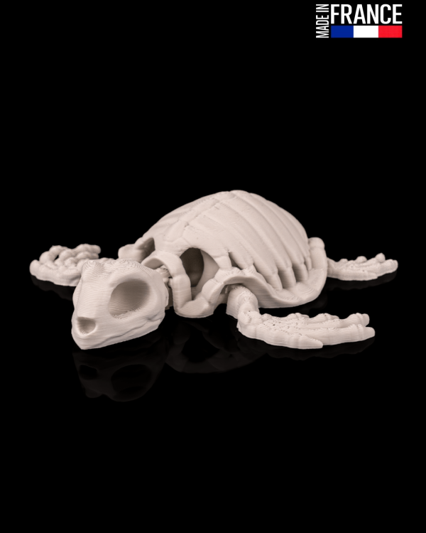 Skeleton Turtle
