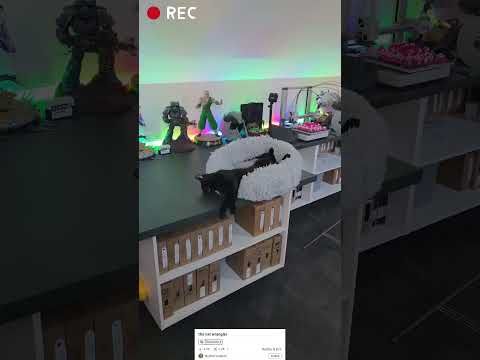 Impression 3D pour ton chat "the cat wrangler" imprimé sur Bambulab A1 #impression3d #cat #wrangler