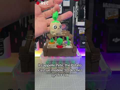 Impression 3D de légumes porte-clés par @STLFLIX sur Bambulab A1 Combo #impression3d #stlflix